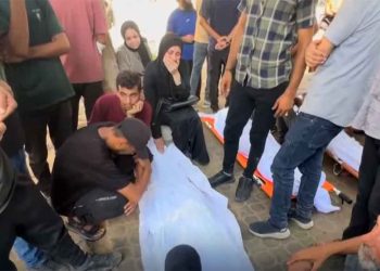 حي الزيتون جنوب غزة يواجه إبادة منظمة منذ 5 أيام