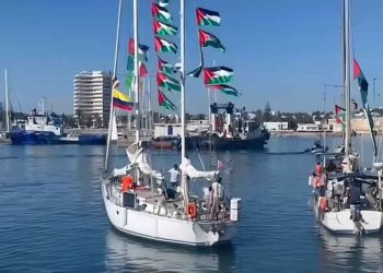 يجب توفير الحماية لأسطول الصمود