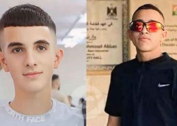 الطفلين محمد تيم ومحمد قاسم