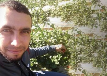 مأساة جديدة في غزة.. مقتل 3 من عائلة واحدة في قصف الاحتلال